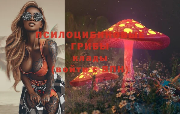скорость Медвежьегорск