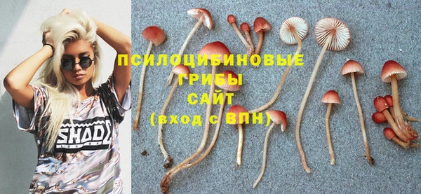 скорость Медвежьегорск